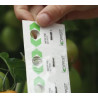 Bandelettes En-Strip  (Source : Koppert Biological Systems)