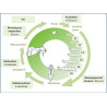 Cycle de développement de Mamestra brassicae. J. Poidatz (Koppert)