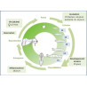 Cycle de développement de Acrolepiopsis assectella à 25°C.  (J. Poidatz-Koppert)