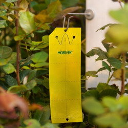 Horiver jaune petit modèle, en situation