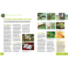 Soigner bio tous les fruitiers - E. et J. Jullien | Crisop shop