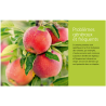 Soigner bio tous les fruitiers - E. et J. Jullien | Crisop shop
