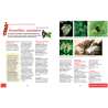 Soigner bio tous les fruitiers - E. et J. Jullien | Crisop shop