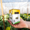 Natupol Seeds - Solution de pollinisation pour semenciers | Crisop