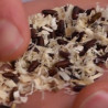 Contenu Biopar