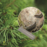 Diffuseur Attractif Thaumetopoea pityocampa longue durée