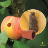 Attractif Cydia pomonella Superlure