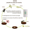 Biopar - Lutte biologique contre les mouches | Crisop.shop