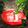Piège à eau Tutasan en situation