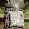Eco-piège - Modèle Ecorce