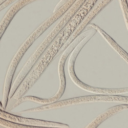 Heterorhabditis bacteriophora