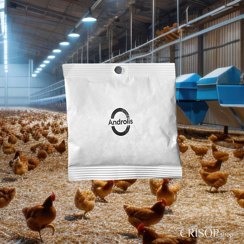 Androlis Sachet