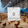 Androlis Sachet