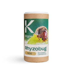 Rhyzobug Flacon contenant 500 individus de Rhyzobius lophantae