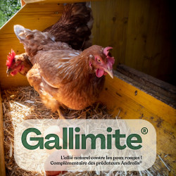 Galimite prédateur poux rouges