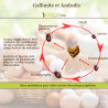 Gallimite - Prédateurs de poux rouges | Crisop.shop