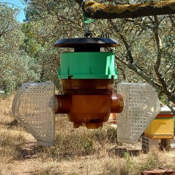 Piège Velutina Beevital mis en place