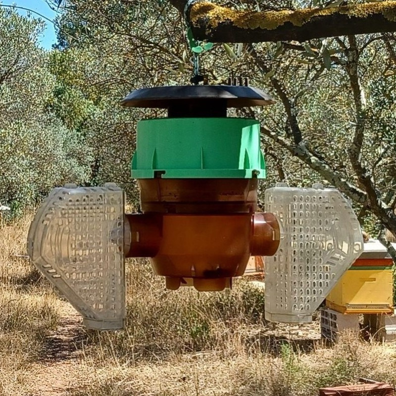 Piège Velutina Beevital mis en place