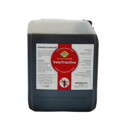 Attractif à frelon asiatique VeluTractive Bidon de 5 l