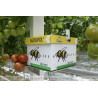Natupol installé en cultures de tomates
