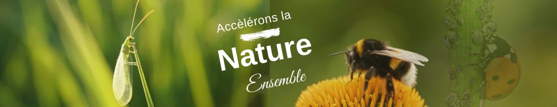 Tout pour accélérer la nature